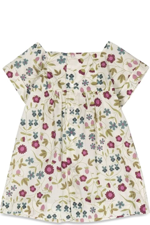 Bonpoint Dresses for Baby Girls Bonpoint Smockee Pais Dress
