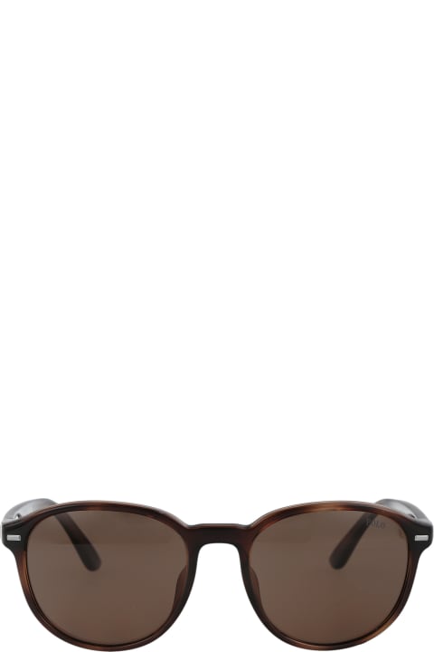 メンズ Polo Ralph Laurenのアイウェア Polo Ralph Lauren 0ph4207u Sunglasses