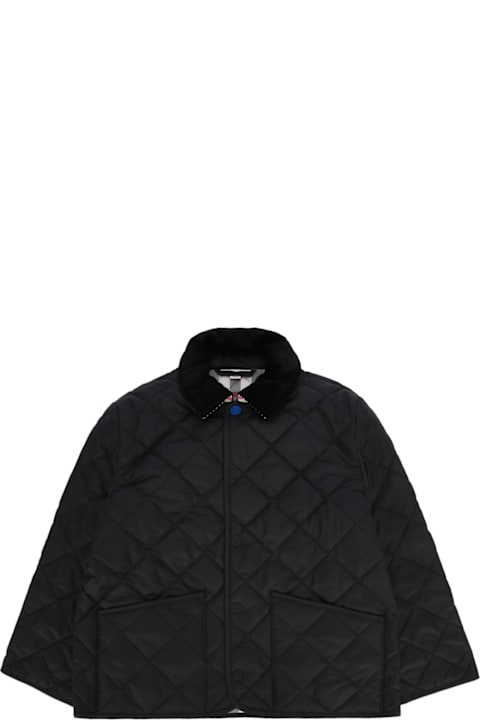 Burberry Kb6 Indy