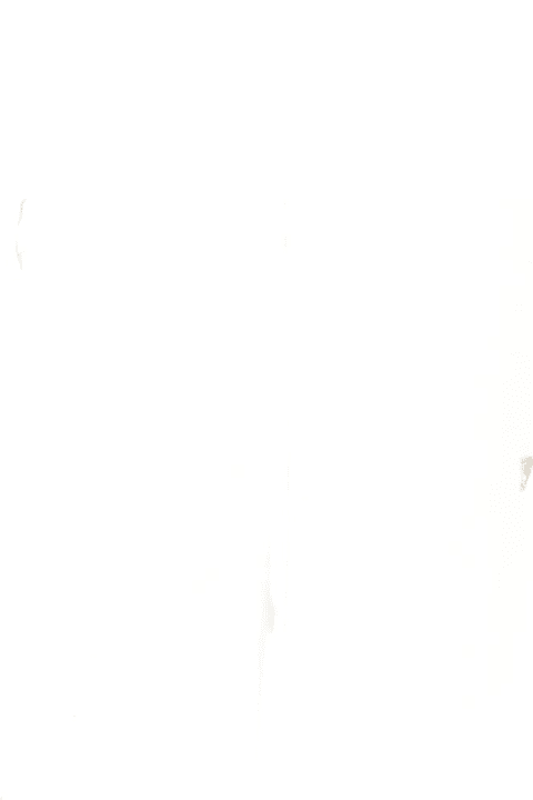 Homeware Dondup White Jeans For Girl With Logo