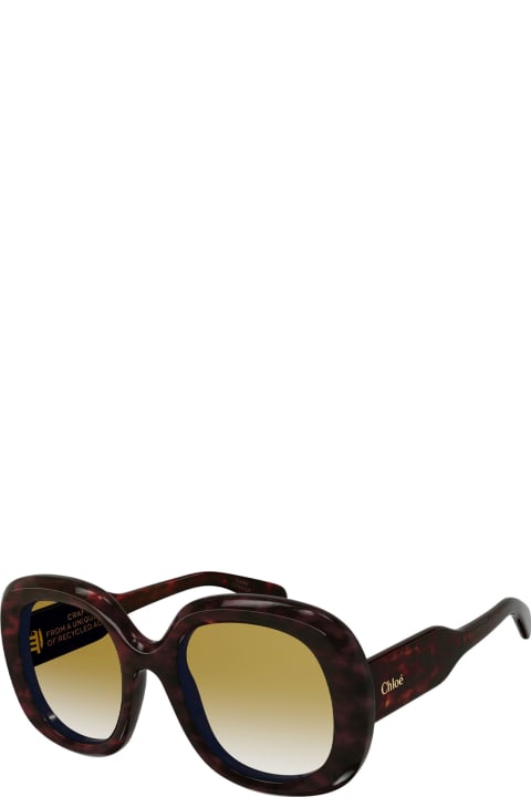 Fashion for Women Chloé Brown Gayia Sunglasses