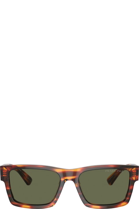 Accessories for Men Prada Eyewear Pr25zs 16s03r Havana Chiaro Sunglasses