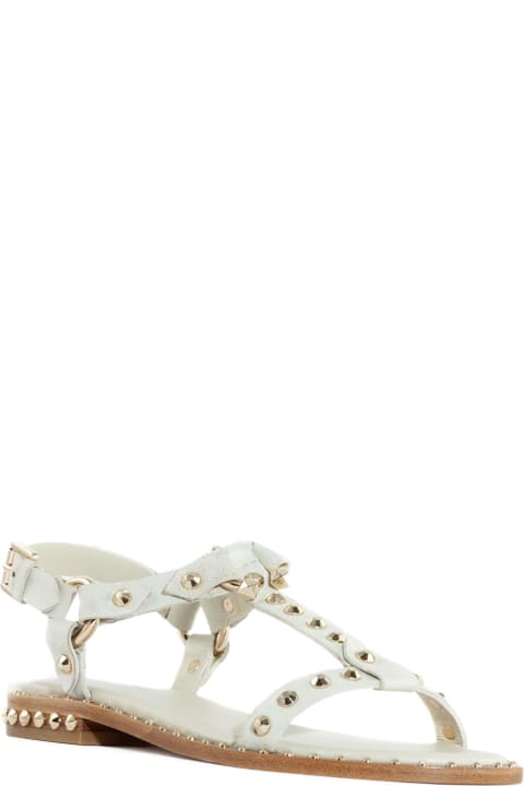 Sandals for Women Ash White Leather Patsy Sandals