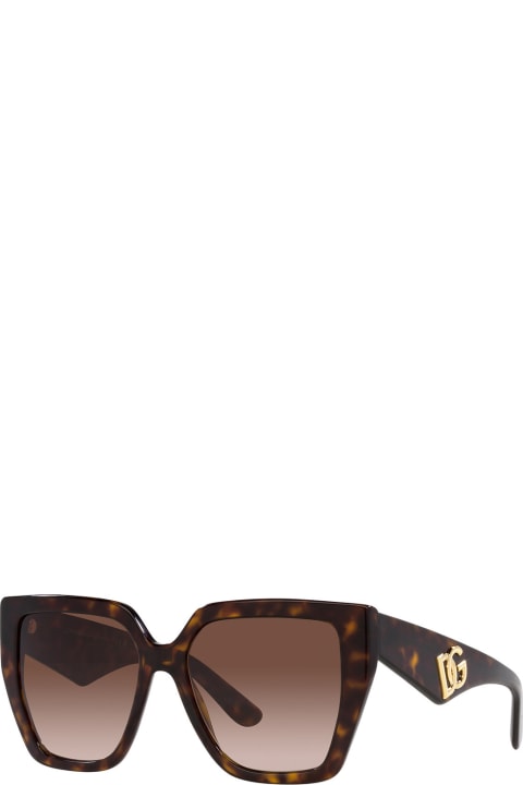 Dg4438 502/13 Sunglasses
