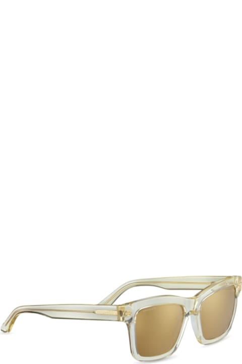 Serengeti Eyewear Eyewear for Men Serengeti Eyewear Winonass528002
