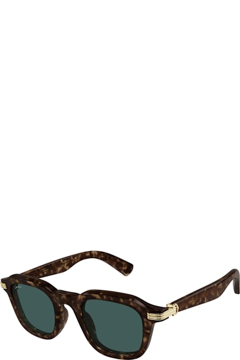 Cartier Eyewear Eyewear for Men Cartier Eyewear Cartier Ct0536s Première De Cartier 002 Havana Green Sunglasses