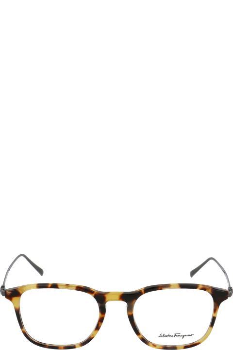 Sf2846 Glasses