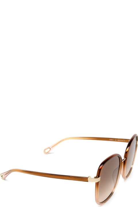Chloé Eyewear Eyewear for Women Chloé Eyewear Ch0031s Brown Sunglasses