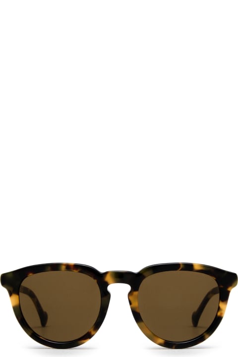 Ml0229 Havana Sunglasses