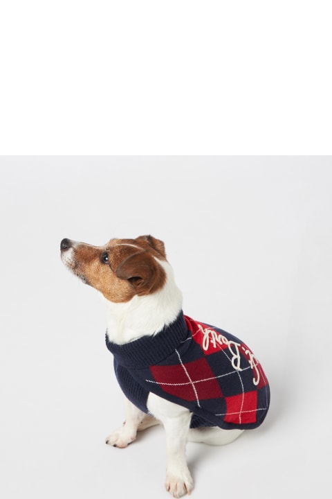Homeware MC2 Saint Barth Dog Sweater With Argyle Print