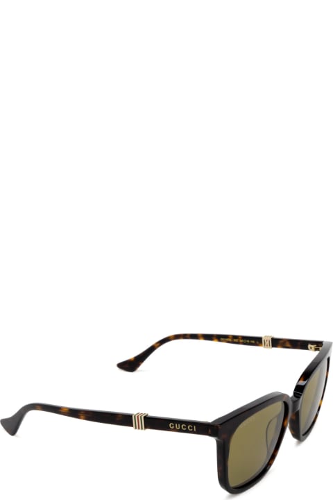 Eyewear for Men Gucci Eyewear Gg1493s Havana Sunglasses