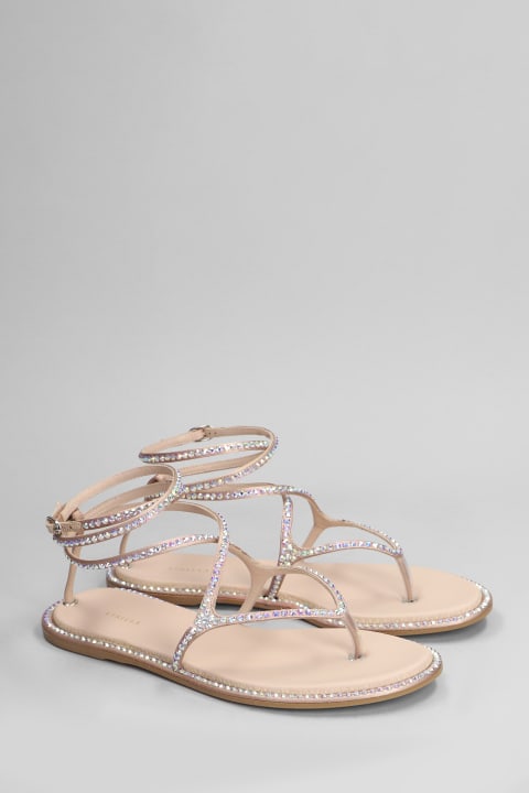 Le Silla Sandals for Women Le Silla Belen Flats In Powder Leather