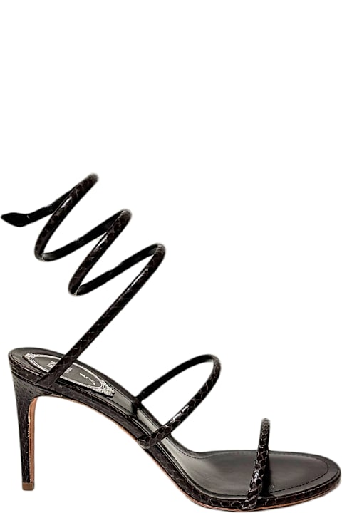 René Caovilla Shoes for Women René Caovilla Heels