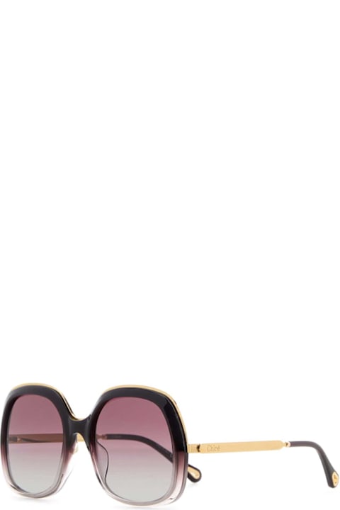 Eyewear for Women Chloé Purple Acetate Sunglasses