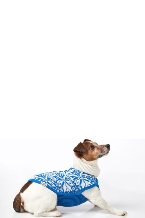 أدوات منزلية MC2 Saint Barth Dog Sweater With Nordic Jacquard