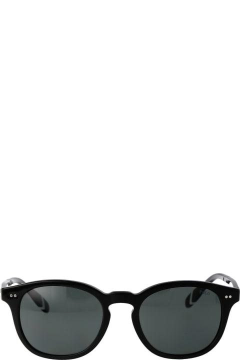 メンズ新着アイテム Polo Ralph Lauren 0ph4206 Sunglasses
