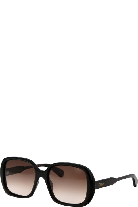 Chloé Eyewear Eyewear for Women Chloé Eyewear Ch0222s Sunglasses