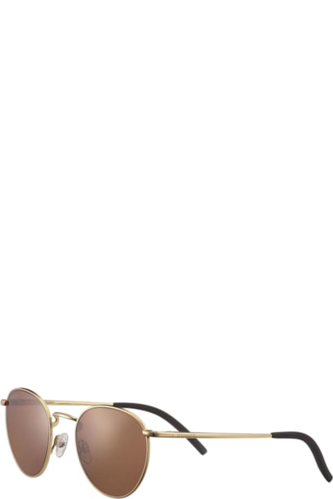 Serengeti Eyewear Eyewear for Men Serengeti Eyewear Hamel8929