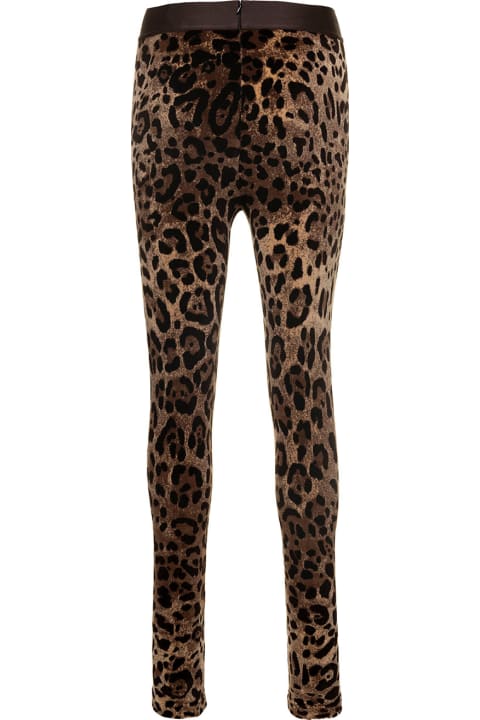 Dolce & Gabbana Pants & Shorts for Women Dolce & Gabbana Animalier Velour Leggings