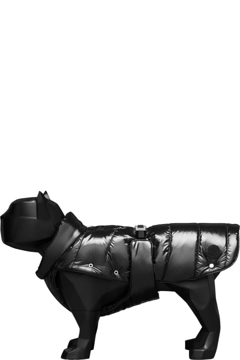 ウィメンズ Moncler Geniusのコート＆ジャケット Moncler Genius 6 Moncler 1017 Alyx 9sm X Poldo Dog Couture Vest