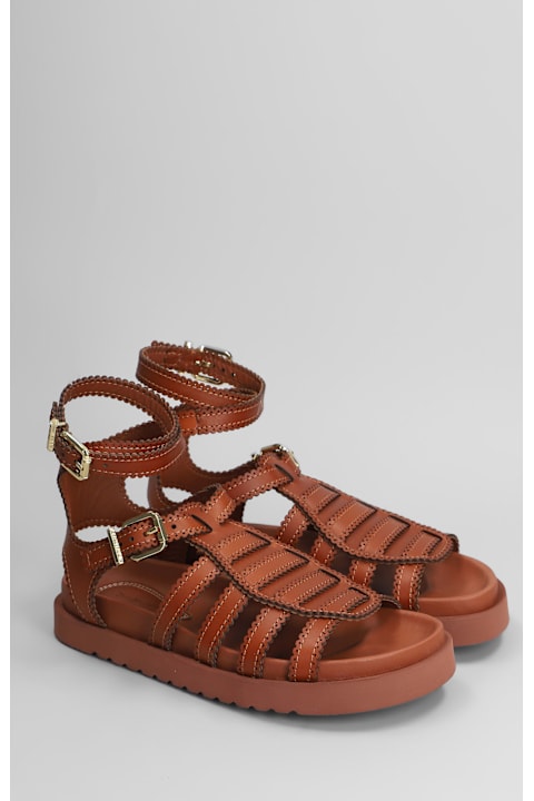 Zimmermann for Women Zimmermann Goldie Gladiator Flats In Brown Leather