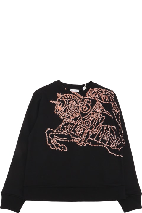 Homeware Burberry Kid Boy Sweaters