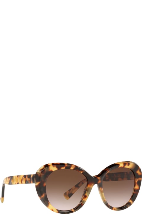 Valentino Eyewear Eyewear for Women Valentino Eyewear Va4113 Light Havana Sunglasses
