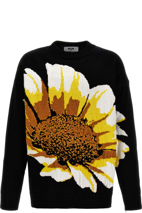 Sweaters for Men MSGM 'margherita' Sweater