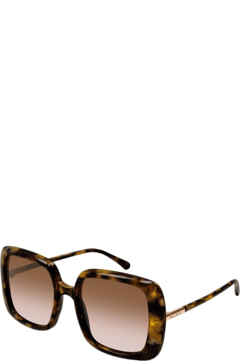 Pm 0116 - Havana Sunglasses
