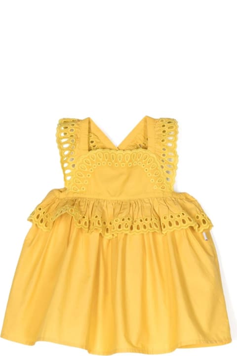 Dresses for Baby Girls Stella McCartney Kids Yellow Sangallo Lace Dress