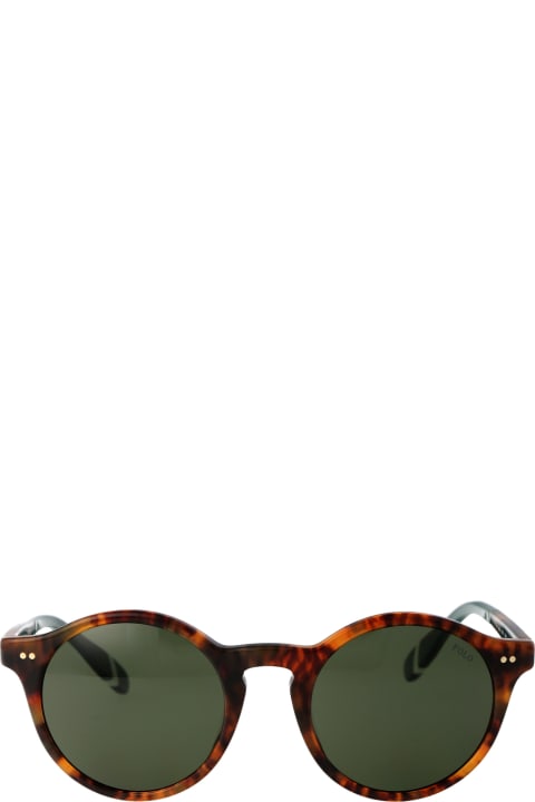 メンズ Polo Ralph Laurenのアイウェア Polo Ralph Lauren 0ph4204u Sunglasses