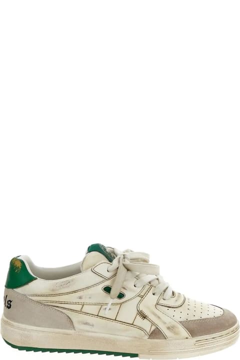 University Sneakers