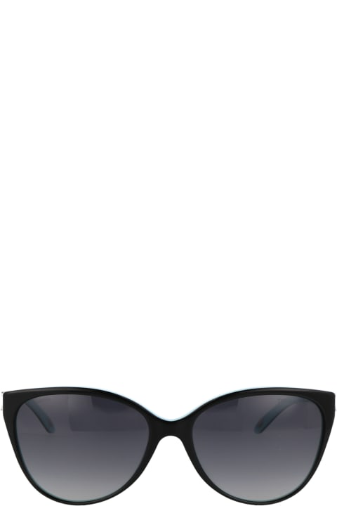 0tf4089b Sunglasses