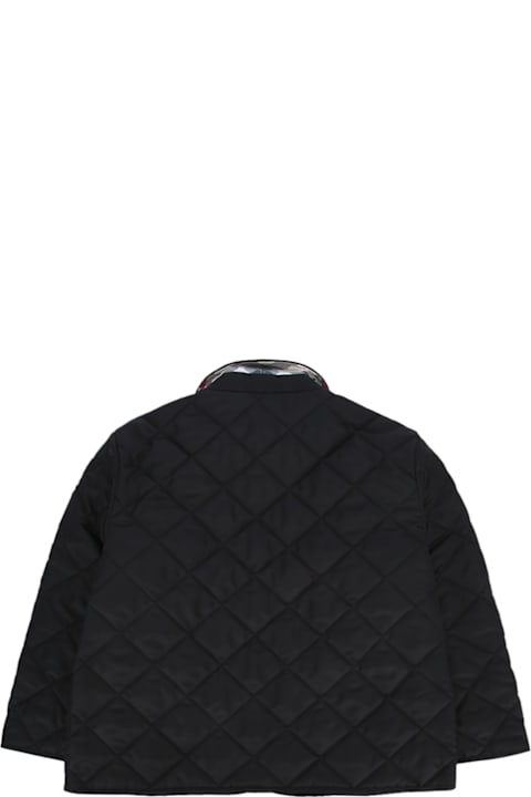 Burberry Kb6 Indy