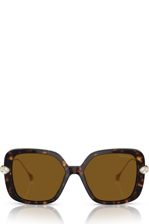 Swarovski for Women Swarovski Sk6011 Havana Sunglasses