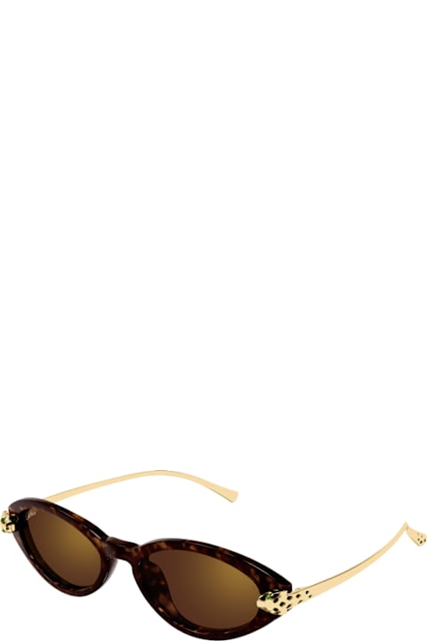Cartier Eyewear for Kids Cartier Eyewear Cartier Ct0634s Panthère De Cartier 002 Havana Gold Brown Sunglasses