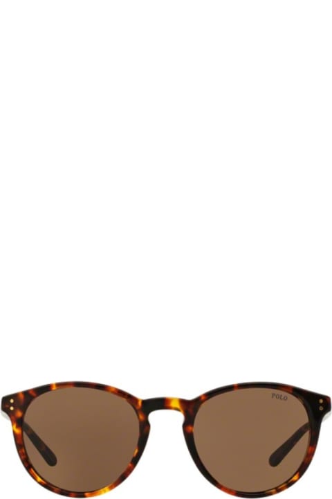 أدوات منزلية Polo Ralph Lauren Ph4110 513473 Havana Sunglasses