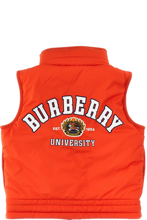 Osbert Vest