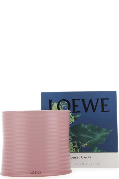 Home Décor Loewe Large Ivy Scented Candle