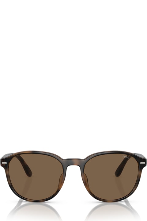 Polo Ralph Lauren Eyewear for Men Polo Ralph Lauren Ph4207u Shiny Havana Sunglasses