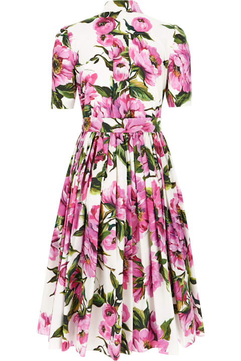 آخر صيحات الموضة من السيدات Dolce & Gabbana Printed Cotton Shirt Dress