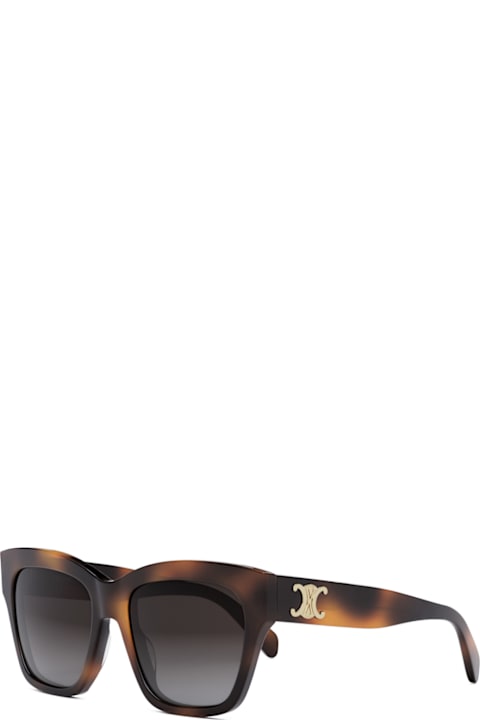 Sale for Women Celine Celine Cl40253i Triomphe 53k Havana Sunglasses