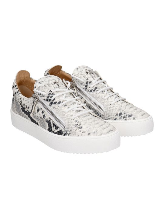 Sneakers \