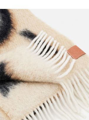 23x185 Loewe Scarf | italist