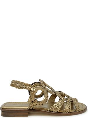 Del Carlo for Women