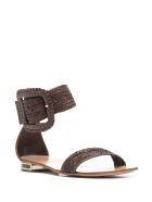 Low Sandal In Brown Hanoi With Maxi Buckle Casadei Low Sandal In Brown Hanoi With Maxi Buckle