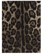 Dolce & Gabbana Skirt Dolce & Gabbana Skirt - Multicolor