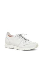 Buttero Carrera Black Leather Sneakers Buttero Carrera Black Leather Sneakers - White