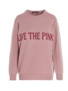 Alberta Ferretti Sweater Alberta Ferretti Sweater - Pink
