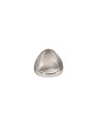 Alexander McQueen Signet Ring Alexander McQueen Signet Ring - Argento